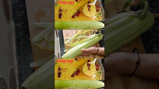 Sorakaya pappucharushortsrecipe papp recipe in Telugu cooking [upl. by Savick]