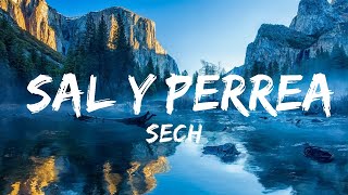 Sech  Sal y Perrea  Best Songs [upl. by Rorke]