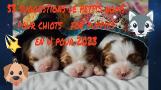 🥰🐶 quel petit nom pour mon chiot  for my puppy 53suggestions de prénoms chiots pour 2023 en U [upl. by Drofyar]