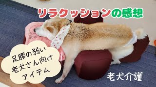 【老犬介護】老犬さんのためのリラクッションの使い心地は｜でもチロさんはあれの方が好きだったね｜介護アイテム｜17歳柴犬 [upl. by Rutledge695]