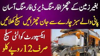 How to corn silage in pakistan 2024 12 ropea par kg [upl. by Nagaet]