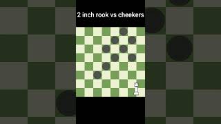 Chess  Tall Rook vs Checkers [upl. by Amiarom]