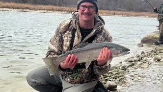 Centerpin Fishing Saugeen River For Steelhead 2024 [upl. by Mafala359]