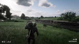 RDR2  Attacked by a Brave Muskrat [upl. by Erihppas960]