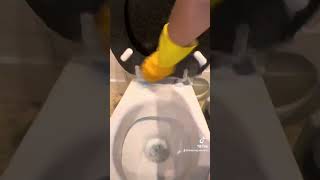 Satisfying scrubbing toilet cleaning 🧼 washing [upl. by Abram]