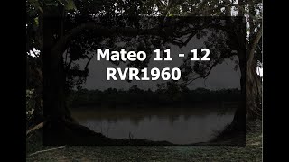 La Biblia hablada  Mateo 11  12 [upl. by Eirased]