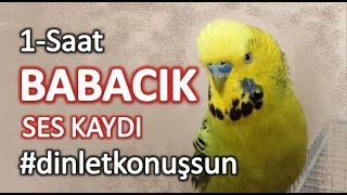 Babacık ses kaydı reklamsız dinletkonuşsun [upl. by Iahc]