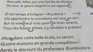 Une histoire de Sorcier de Karine Persillet  Poésie [upl. by Pepin]