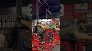 Reverse Hyper 300lbs for 3 reps [upl. by Ariahs]