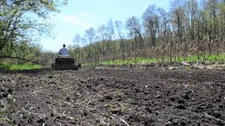 Deer Food Plots in Seven Easy Steps  Tractor Supply Co [upl. by Hoye]