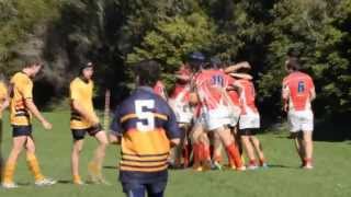 St Johns vs WMAC TAS Red Div Final [upl. by Nnyre800]