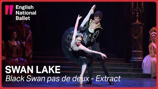 Swan Lake Odile and Prince Siegfried pas de deux  English National Ballet [upl. by Arraic]