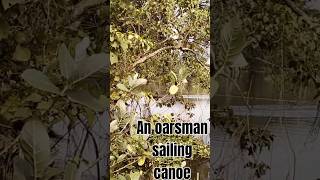 An oarsman sailing canoeAmazing World Views [upl. by Marmaduke286]