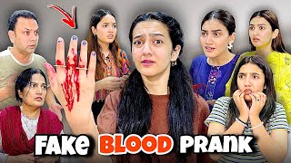 Fake Blood Prank With My Family 😱 Scariest Vlog  Rabia Faisal  Sistrology [upl. by Lindsy]