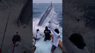 Giant Swordfish Caught by Fishermen 🦭🦈🐙🪸 giantcreature deepseafishing [upl. by Naujid]