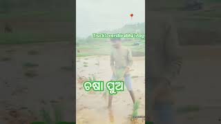 Kharare barsare odia song [upl. by Lenhard377]