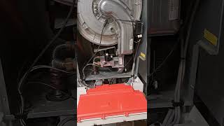 viessmann boiler cleaning 1 [upl. by Viridi]