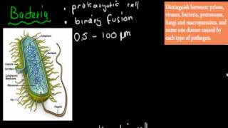 SB33 Prions bacteria virus  fungi  protozoa macroparasites HSC biology [upl. by Ravi188]