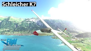 Schleicher K7 Glider Review  Kinetic Assistant  MSFS 2020 [upl. by Ardiekal]