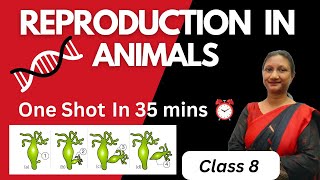 Class 8 Science  Chapter 6 Reproduction in Animals  NCERT  One Shot Explanation [upl. by Arihas542]