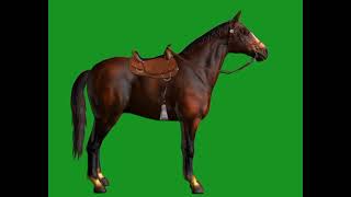 Horse Walking Green Screen Animal character No copyright free 3D Animal chromakeygreenscreengreen [upl. by Ayotaj]