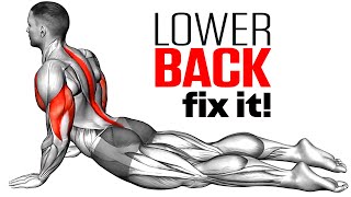 Exercises To Reduce Lower Back Pain [upl. by Hgeilyak]