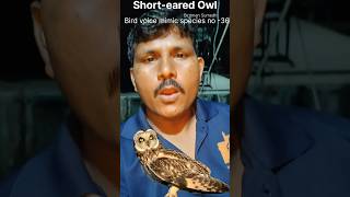 Short eared owl 🦉 Voice mimic Birdman Sumedh [upl. by Eillime]