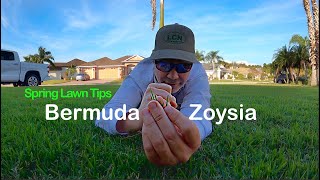 2020 Spring Lawn Tips WARM SEASON  Bermuda and Zoysia Grass  Alpha Grass Mayhem [upl. by Hardunn]