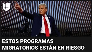 Victoria de Trump amenaza varios programas migratorios te contamos cuáles y qué se puede esperar [upl. by Birk]