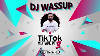 TikTok With DjWassup Pt 3 [upl. by Enelia]