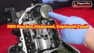 DSG Gearbox Diagnosed explained Fixed [upl. by Leterg559]