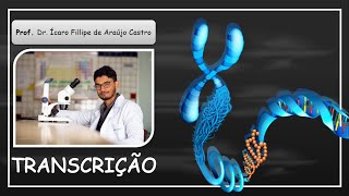 Transcrição em eucariontes  BIOLOGIA MOLECULAR [upl. by Neale78]