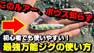 【初心者向け】実は一番釣れる！！センターバランスジグの釣れる使い方！！【Rサーディン】【ライトショアジギング】【Zeake】【メタルジグ】 [upl. by Tillio]