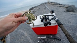 Fishing w LIVE CRABS for STRONG Fish Saltwater Fishing Mission [upl. by Clio]