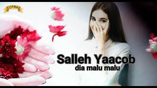 Salleh Yaacob dia malu malu HQ audio [upl. by Reena824]