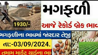 magfali na bhav  03092024  મગફળી ના ભાવ2024  Information about cotton crop price  Commodity [upl. by Pacificas]