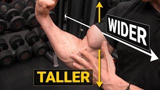 How to Get Bigger Biceps TALLER amp WIDER [upl. by Esiuol589]