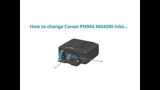 How to change Canon PIXMA MG4250 ink cartridges [upl. by Aerdnak]