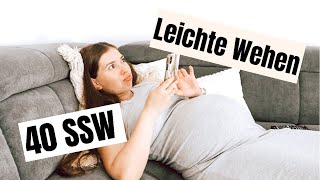 40 SSW🤰🏻 Leichte Wehen Druck nach Unten🙉  LIFEOFBINII 🤍 [upl. by Ahsyad]