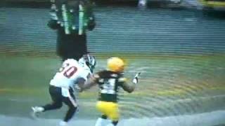 Packers Texans funny announcer comment about the punter [upl. by Tnarg818]