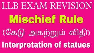 Mischief rule in tamilHeydons case rule l Interpretation Of Statues [upl. by Alrrats]