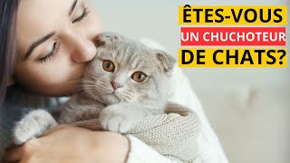 12 Signes que vous êtes un véritable chuchoteur de chats [upl. by Kelvin]