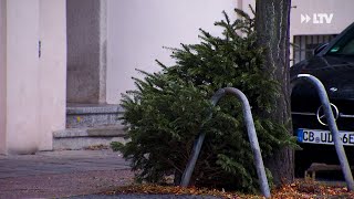 Weihnachtsbaum richtig entsorgen  die Kurznachrichten aus Cottbus vom 100122 [upl. by Damas]