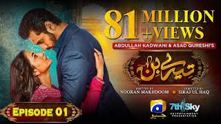 Tere Bin Episode 01  Eng Sub  Yumna Zaidi  Wahaj Ali  28th December 2022  HAR PAL GEO [upl. by Kokoruda]