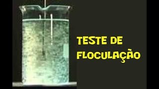 Sedimentação  Teste Floculacao Jar Test [upl. by Thorwald]