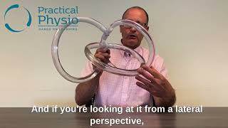 Anatomy and Orientation of the Semicircular Canals [upl. by Michael]