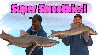 Super Smoothies [upl. by Elisabetta]