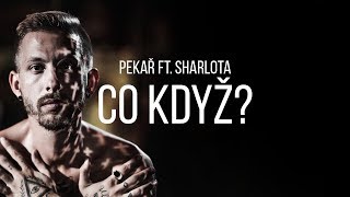 Pekař  Co když feat Sharlota OFFICIAL 4K [upl. by Eetnod]