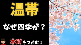 温帯の特徴についてわかりやすく解説（ケッペンの気候区分）【地理】 [upl. by Ahsiad385]