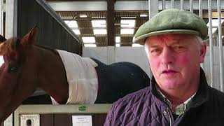 Why I Love Cheltenham with Colin Tizzard [upl. by Anair]